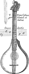 Cittern